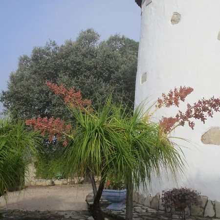 Converted Windmill On Top Of A Hill, Sleeps 4-6, With Beautiful Views Βίλα *